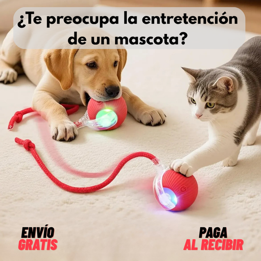 Pelota inteligente para mascota