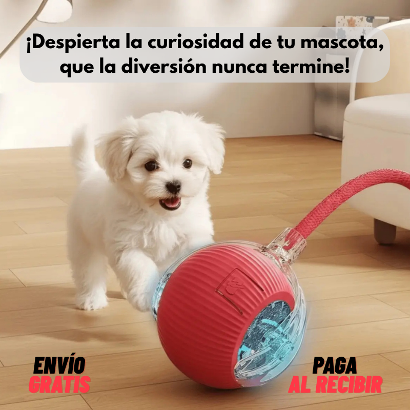 Pelota inteligente para mascota